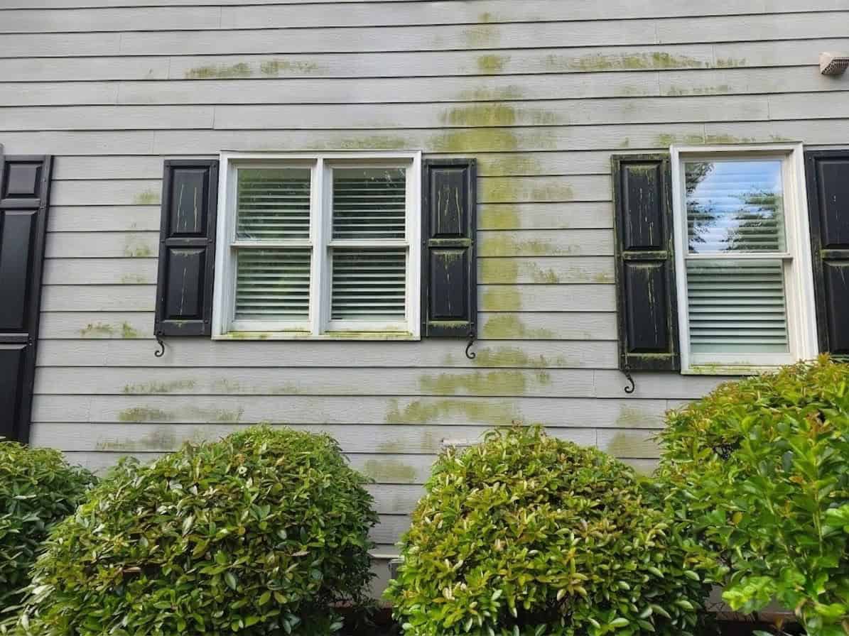 House exterior with moss and algae before soft washing treatment.
