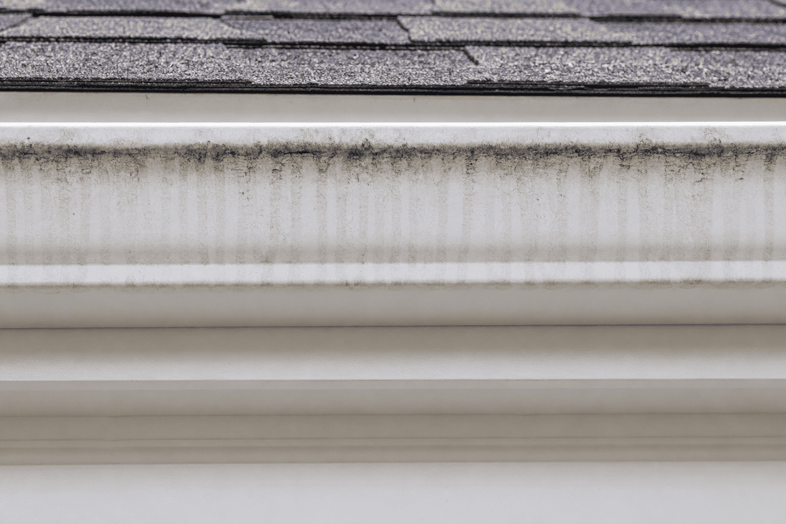 Close-up of house siding with dirt and mold before cleaning.